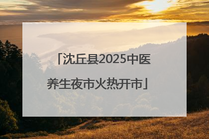 沈丘县2025中医养生夜市火热开市